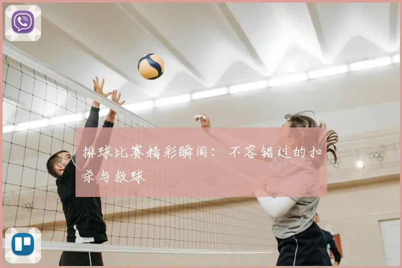 排球比赛精彩瞬间：不容错过的扣杀与救球